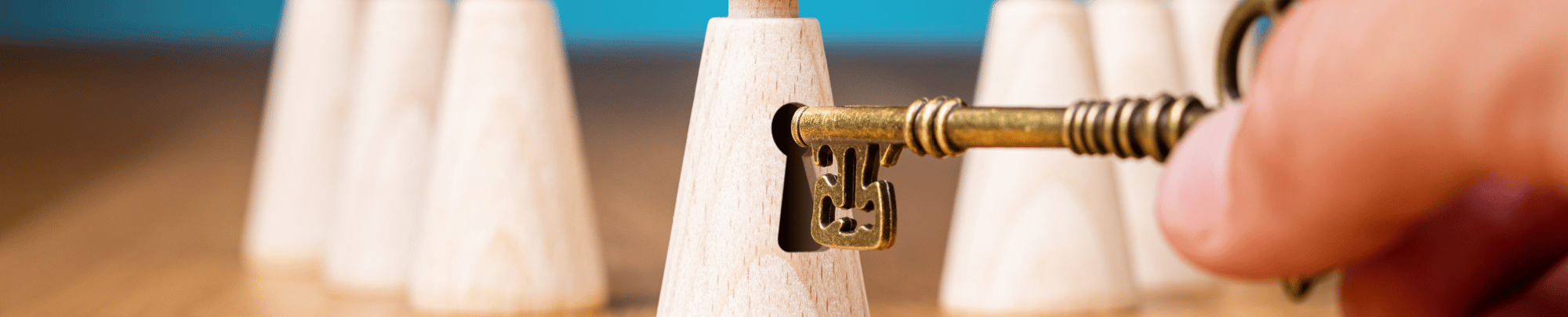 2023 - HubSpot Banner (3)-Jun-21-2023-07-56-59-9653-PM